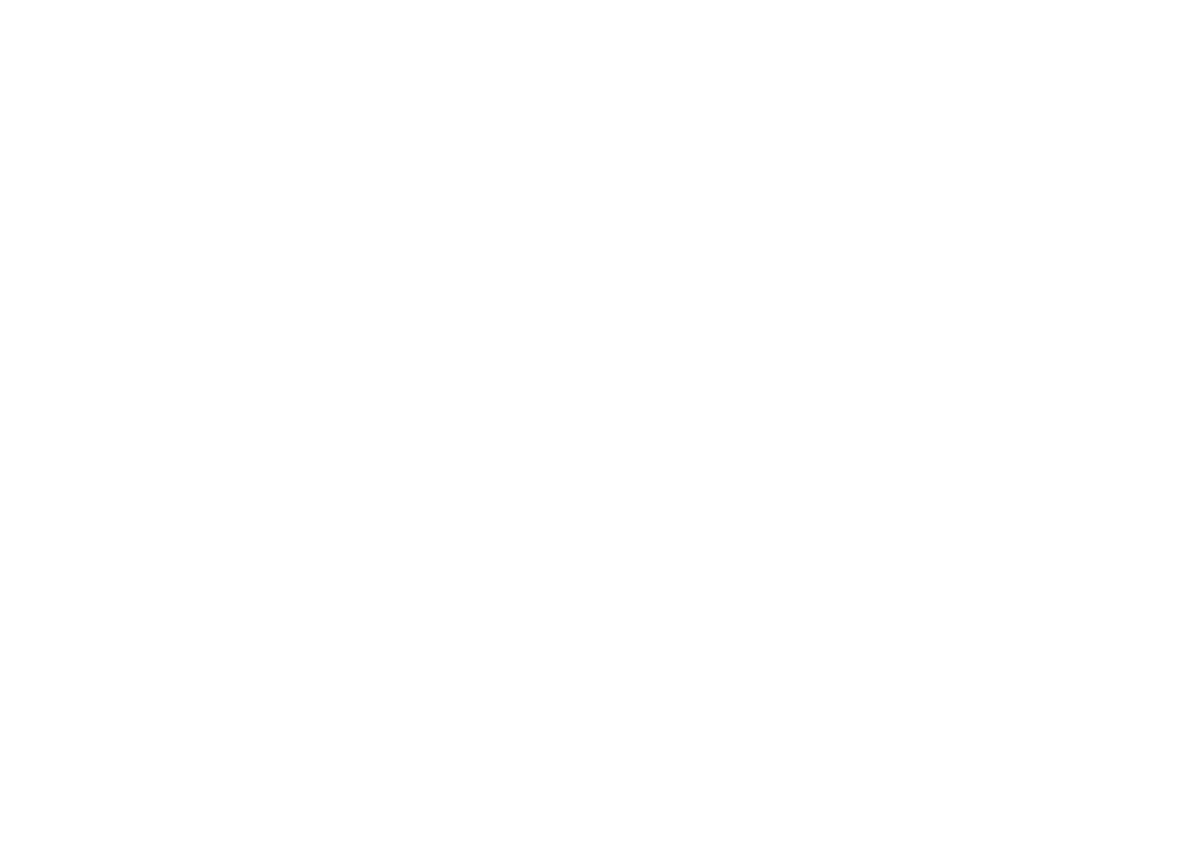 KittyHome